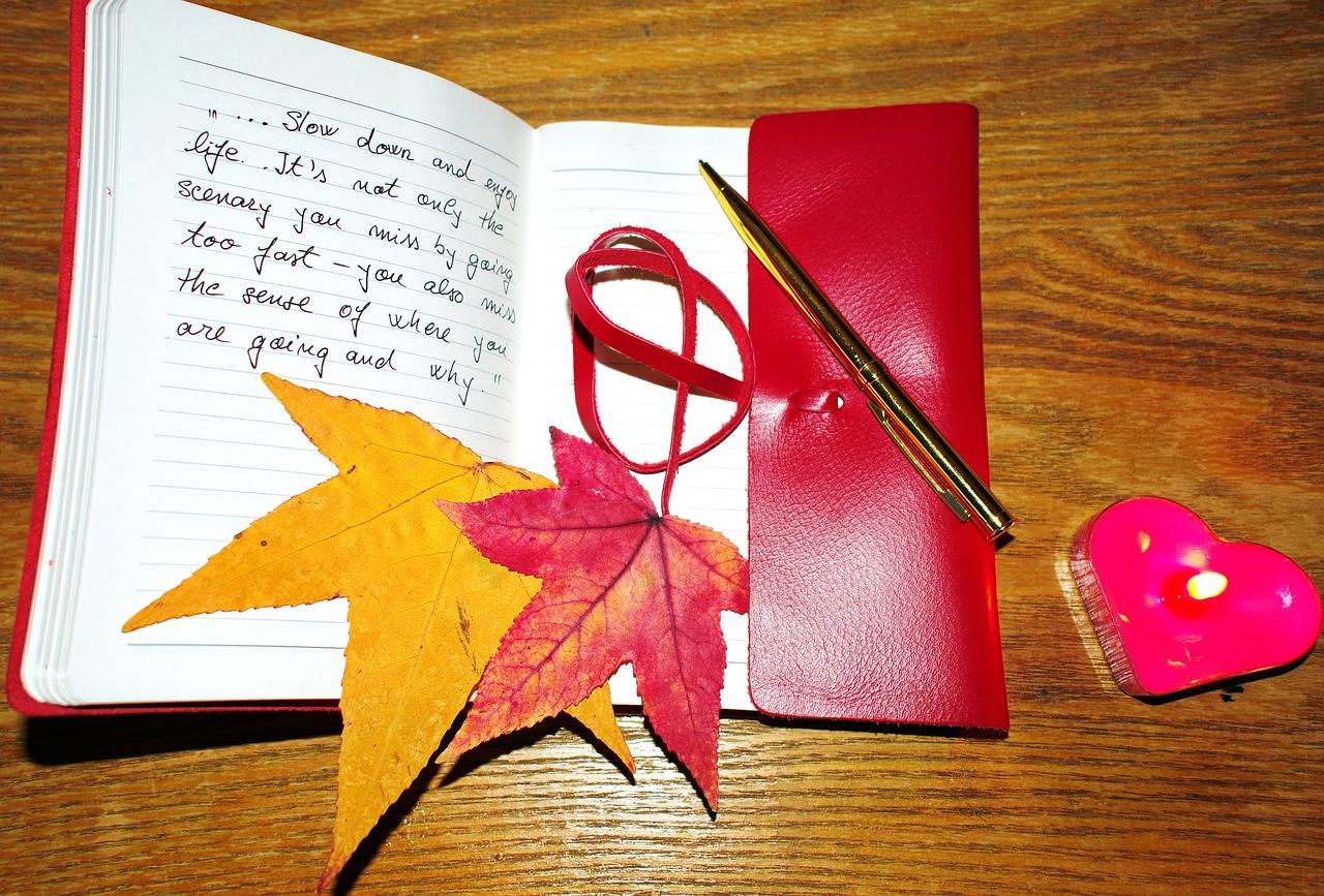 STEM Education: Trends and Developments