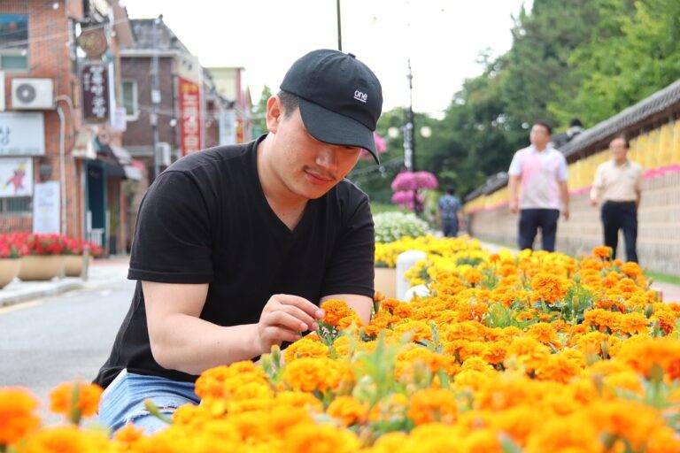 The Joy of Upcycling: Transforming Old Items into New Treasures