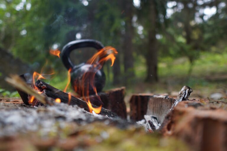 Analyzing the Impact of Cricket on Rural Development in India