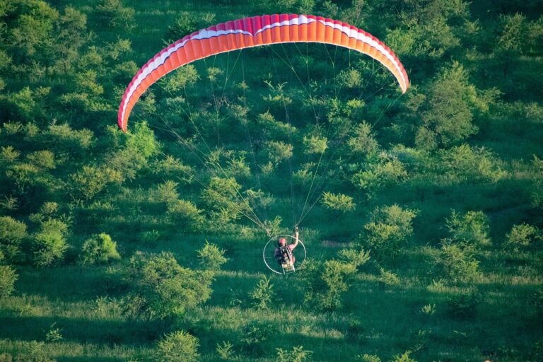 The Influence of Cricket on Language and Literature in the Pacific Islands