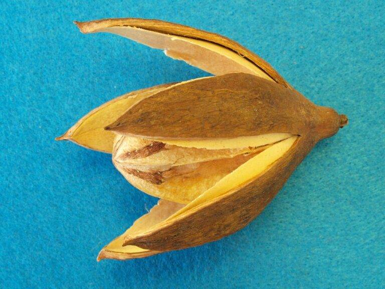 How Political Campaign Ads Affect Election Campaign Outcomes