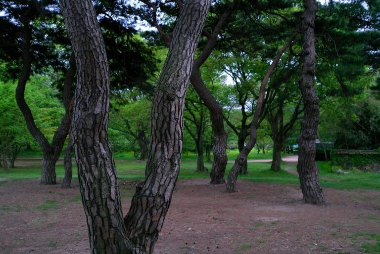 The Impact of Cryptocurrency on Online Shopping